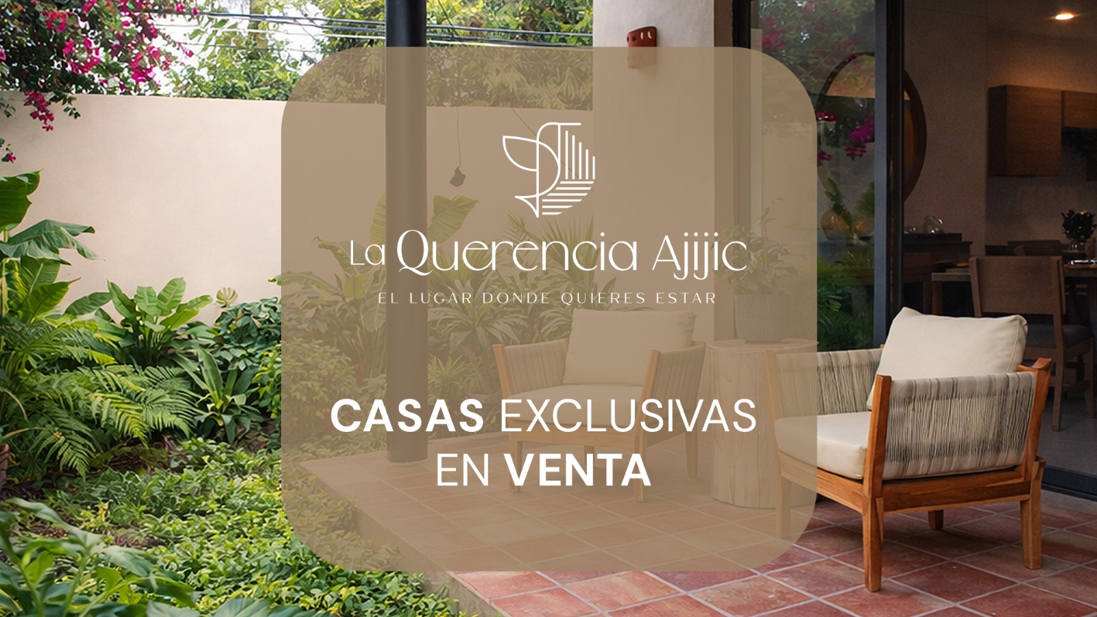 WhatsApp Image 2026-02-10 at 16.47.04