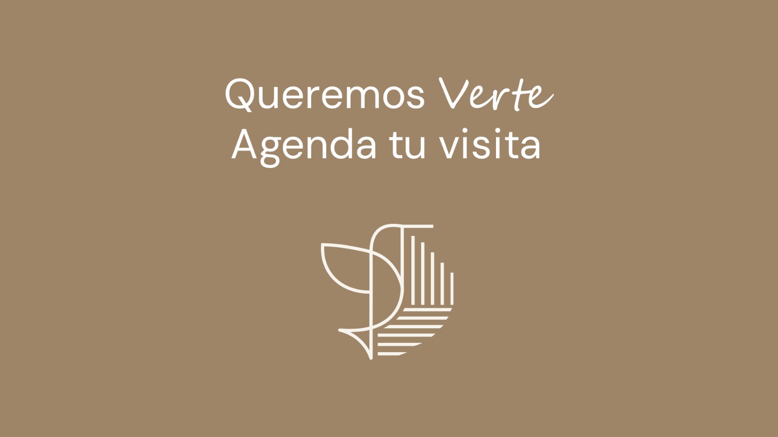 WhatsApp Image 2026-02-10 at 16.47.07