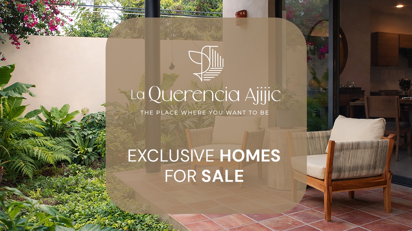 WhatsApp Image 2026-02-11 at 10.40.12